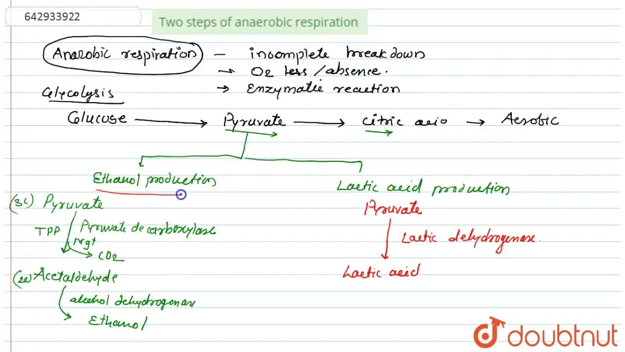 [Marathi Solution] Two steps of anaerobic respiration