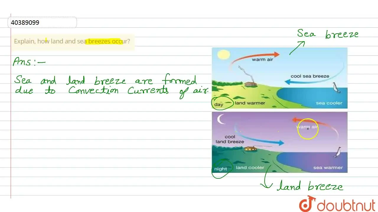 Explain, how land and sea breezes occur?