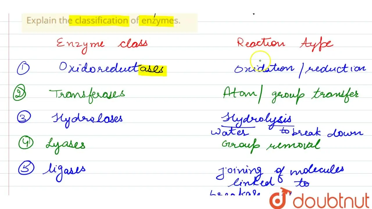 [Punjabi Solution] Explain the classification of enzymes.