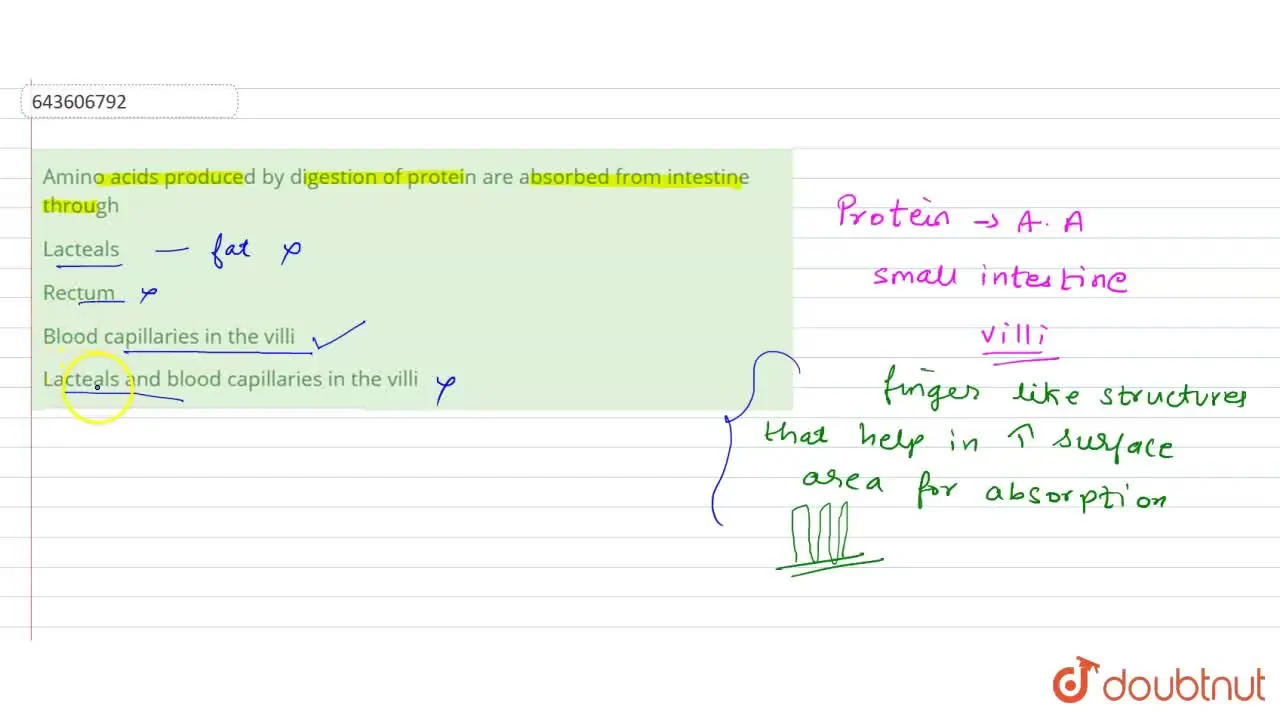[Marathi Solution] Amino acids produced by digestion of protein are ab