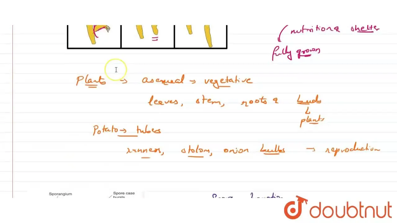 [Gujrati Solution] Answer briefly Explain with example types of as