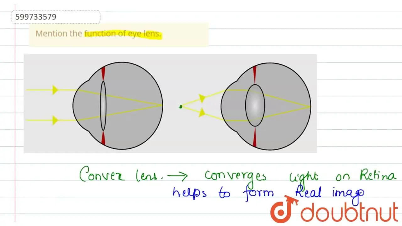 [Kannada] Mention the function of eye lens.