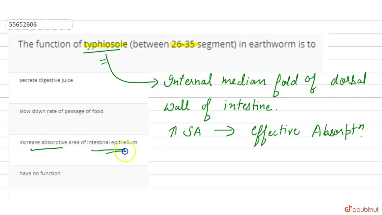 The function of typhlosole (between 26-35 segment) in earthworm is to