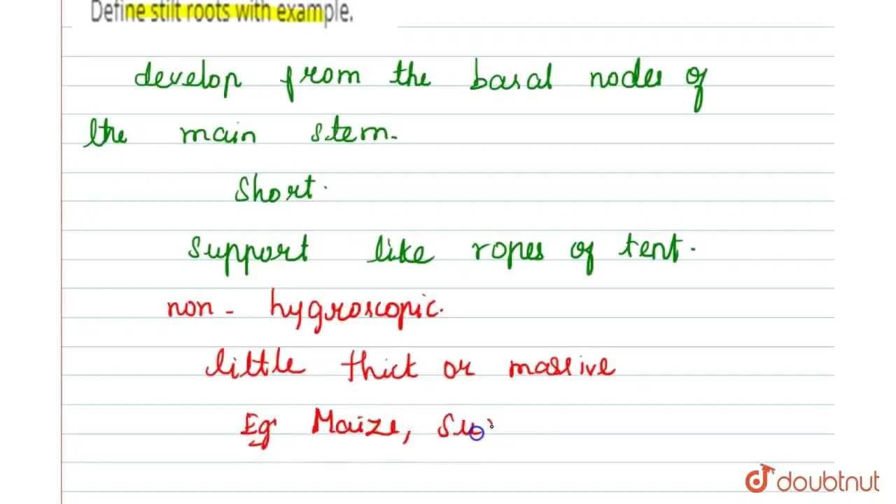 [Tamil Solution] Define stilt roots with example.