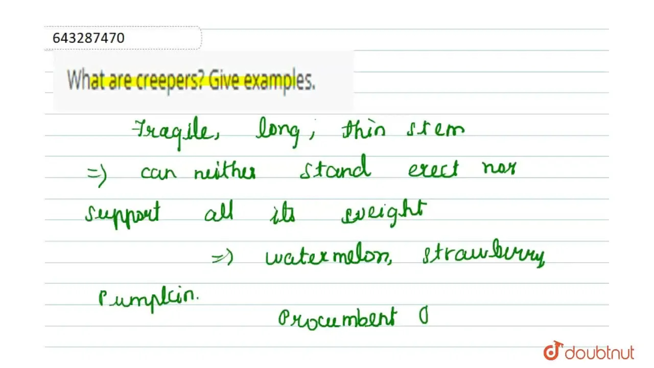[Tamil Solution] What are creepers? Give examples.