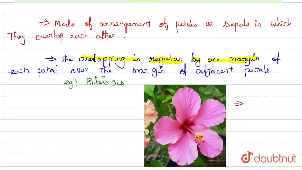 [Tamil Solution] Define twisted aestivation. Give examples.