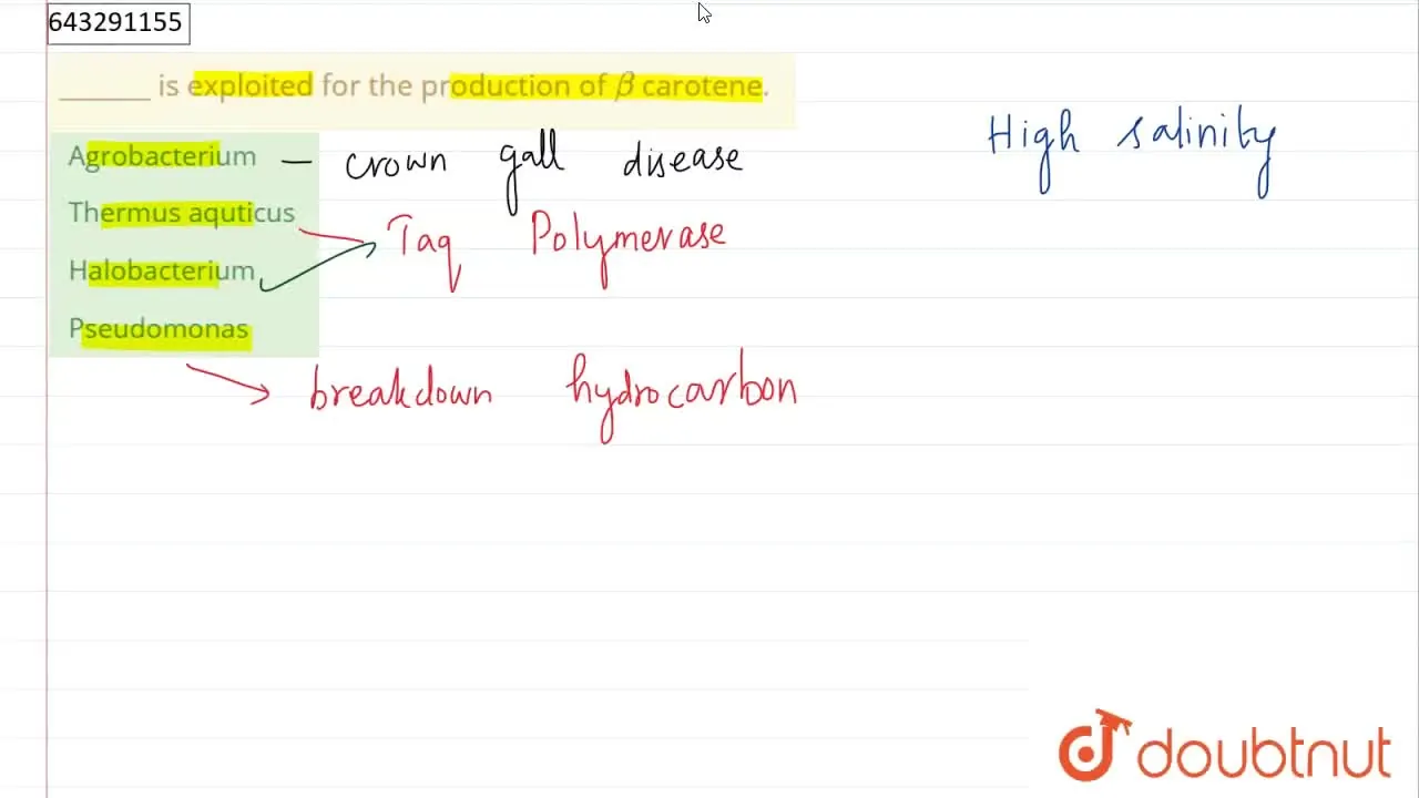 [Tamil Solution] is exploited for the production of beta carotene.