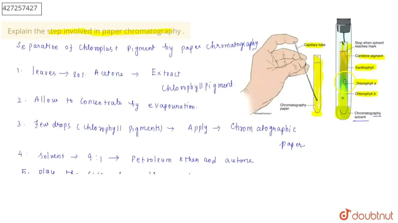 [Tamil Solution] Explain the step involved in paper chromatography