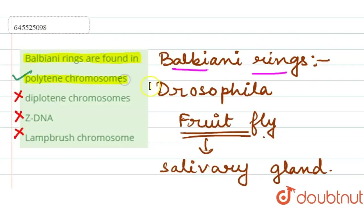 Salivary gland chromosomes of Glyptotendipes glaucus; a—Chromosome AB;... |  Download Scientific Diagram