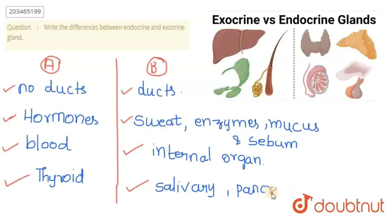 [Tamil Solution] Write the differences between endocrine and exocrine