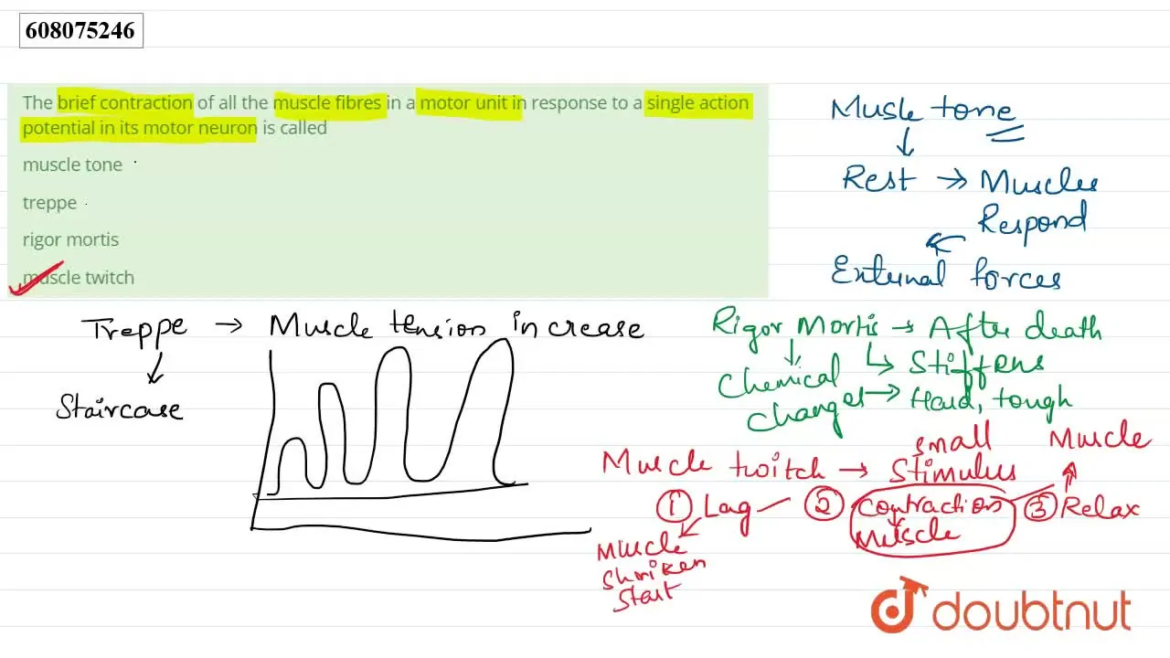 [Telugu Solution] The brief contraction of all the muscle fibres in a