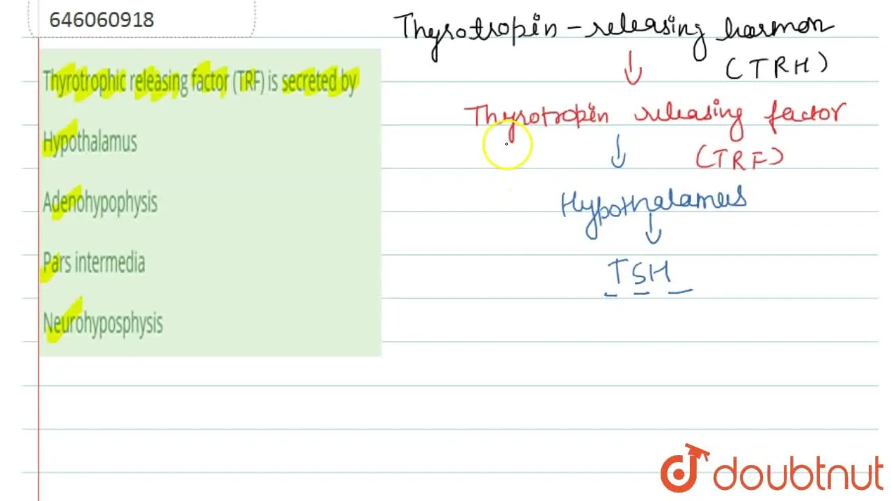 Thyrotrophic releasing factor (TRF) is secreted by