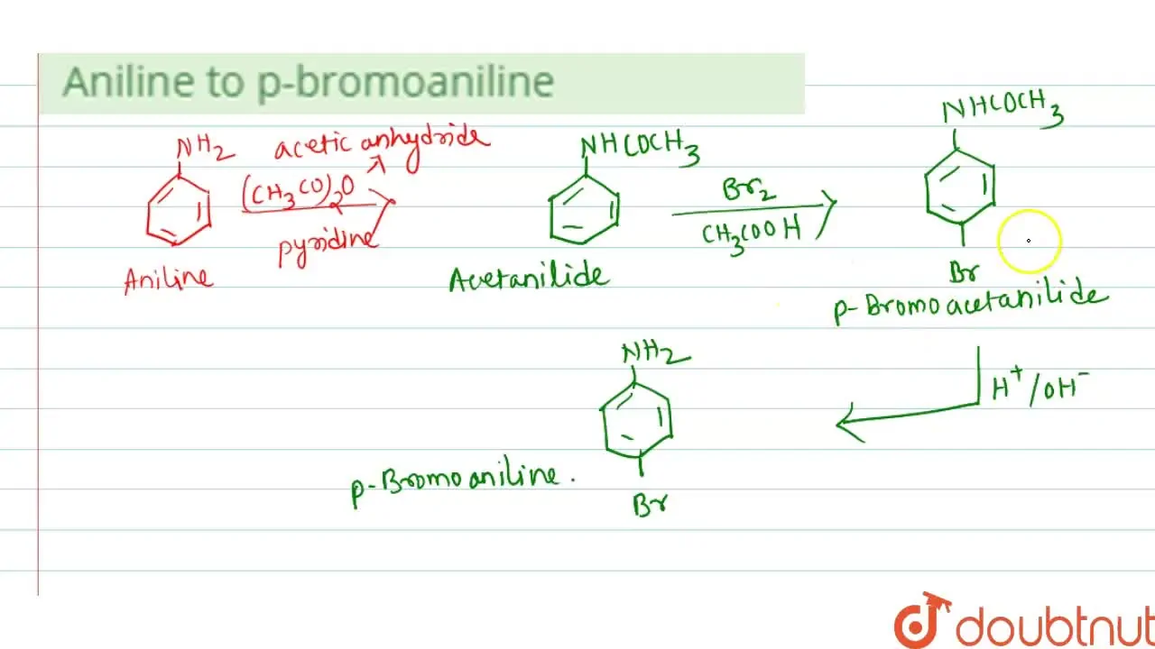 Odia Accomplish The Following Conversions Aniline To P Bromoanilin