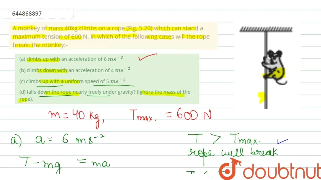 [Punjabi] A monkey of mass 40kg climbs on a rope (Fig. 5.20) which can