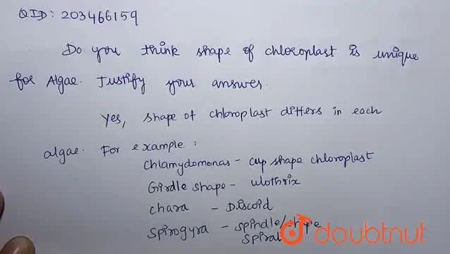 Tamil Solution] Do you think shape of chloroplast is unique for algae