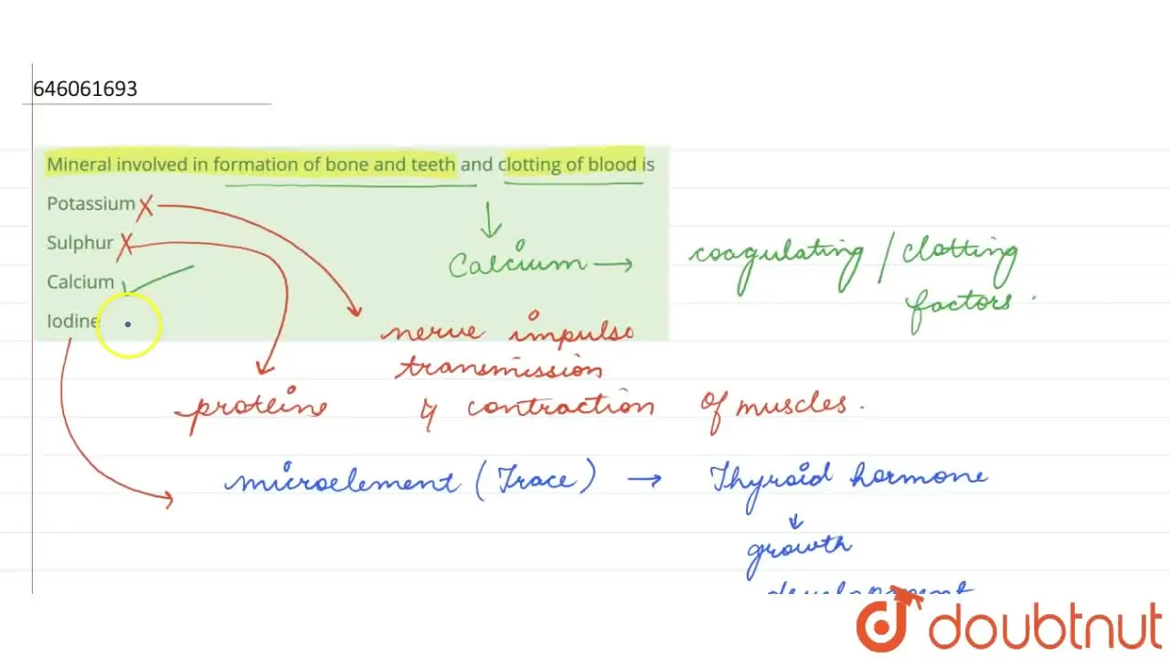 Mineral involved in formation of bone and teeth and clotting of blood