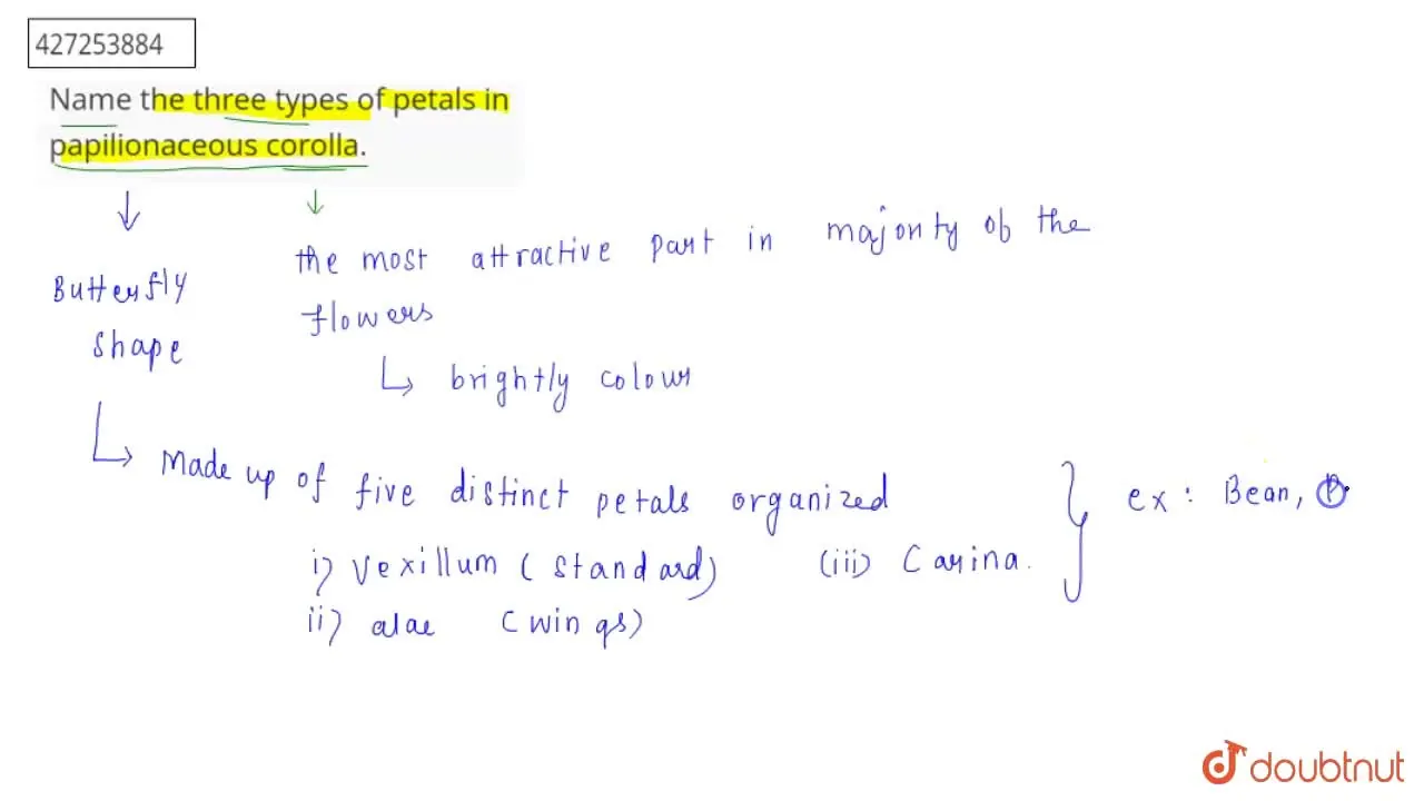 [Tamil Solution] Name the three types of petals in papilionaceous coro