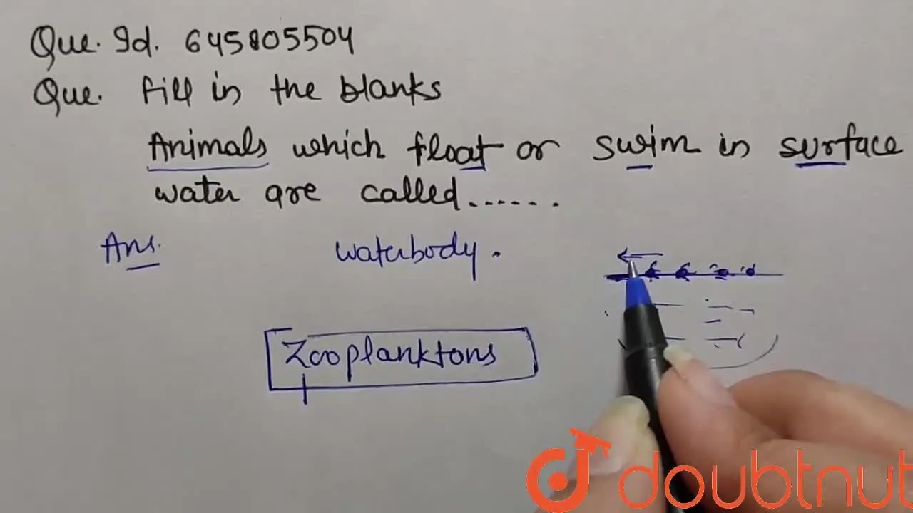 [Punjabi Solution] Fill in the blanks Animals which float or swin in