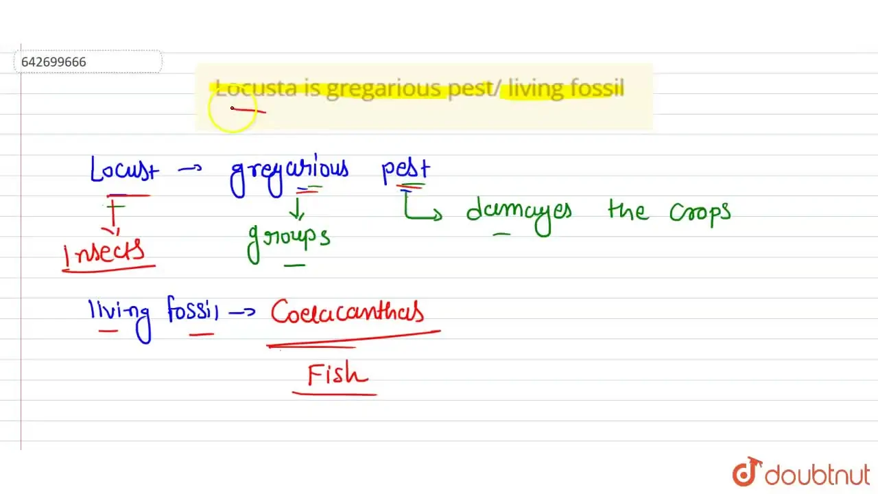 [Gujrati Solution] Locusta is gregarious pest/ living fossil