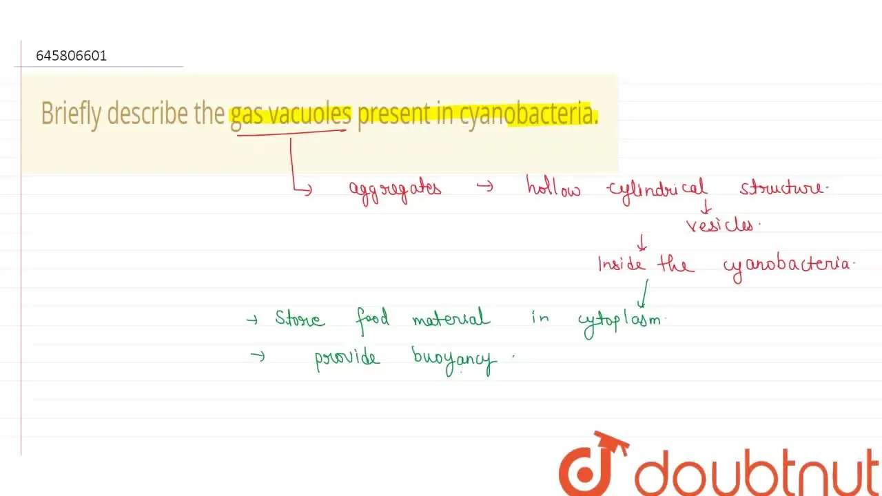 [Punjabi Solution] Briefly describe the gas vacuoles present in cyanob