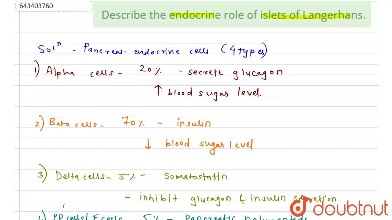 [Marathi Solution] Describe the endocrine role of islets of Langerhans