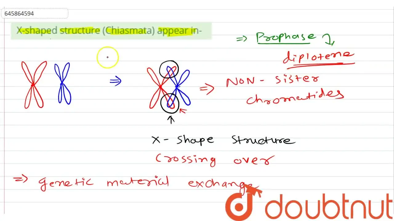 [Gujrati Solution] Xshaped structure (Chiasmata) appear in