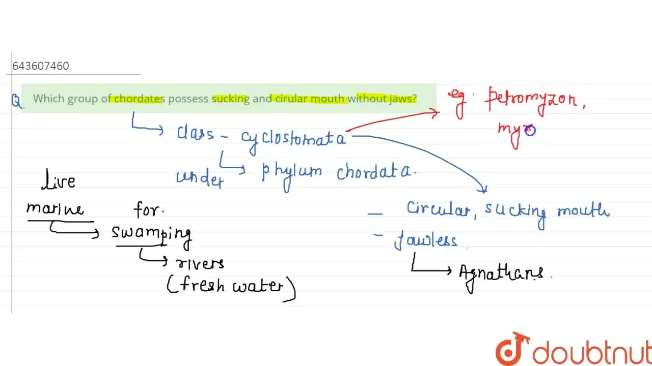 [Marathi Solution] Which group of chordates possess sucking and cirula