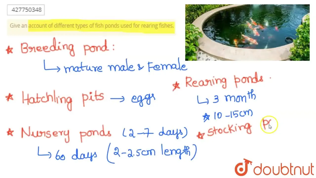 Tamil Solution] Give an account of different types of fish ponds used