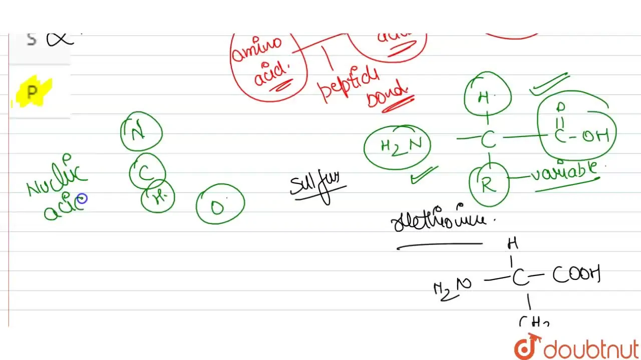 which-element-is-normally-absent-in-proteins