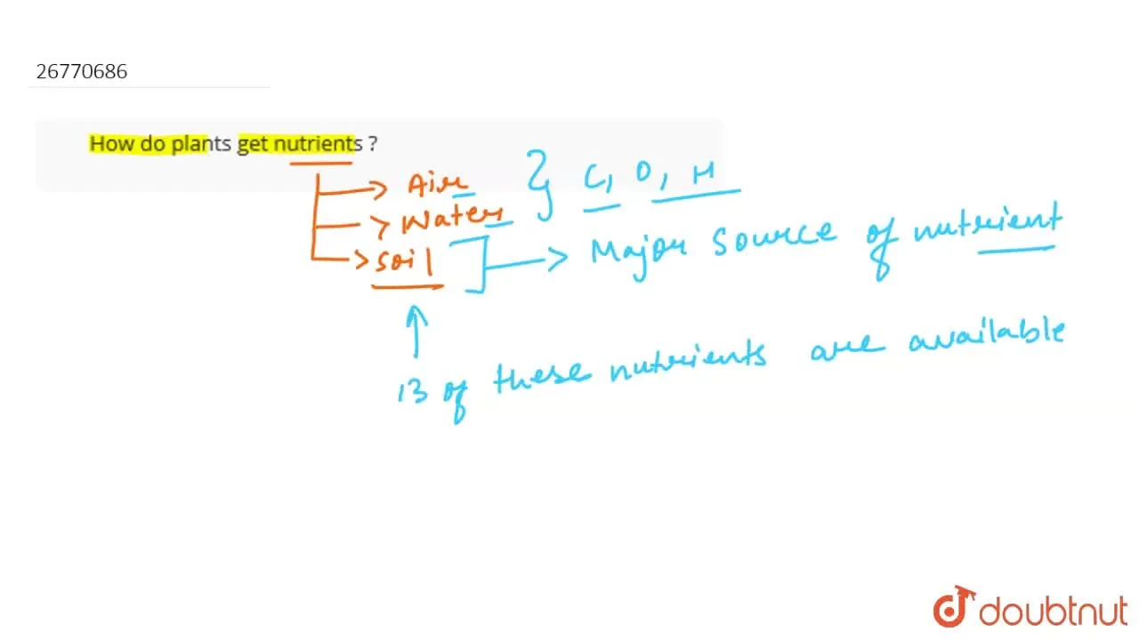 How do plants get nutrients