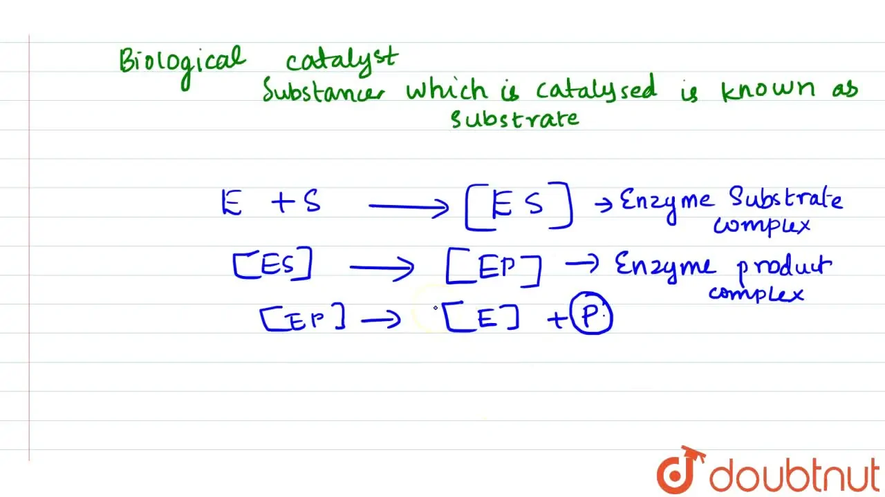 [Malayalam] what are enzymes? Write in brief the mechanism of enzyme