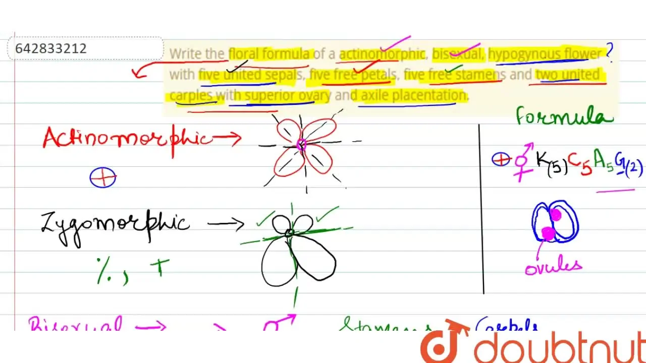 [Punjabi Solution] Write the floral formula of a actinomorphic, bisexu