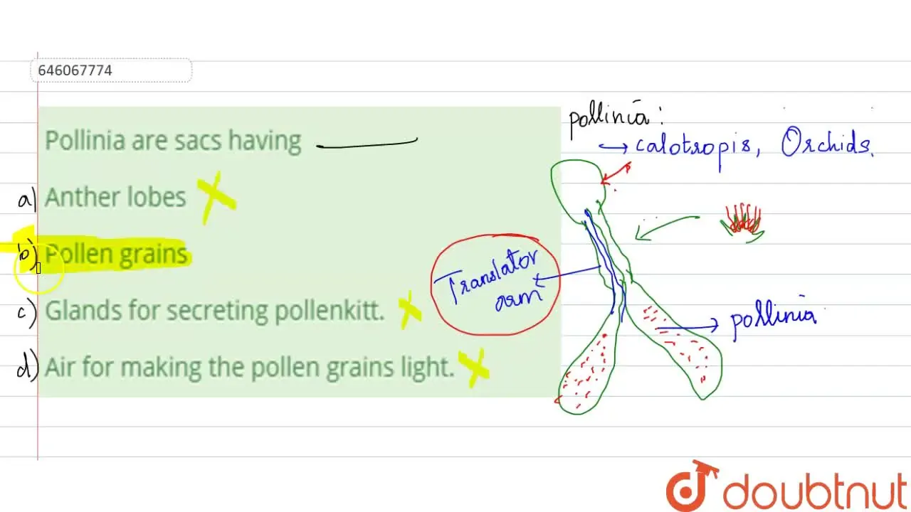 Pollinia are sacs having