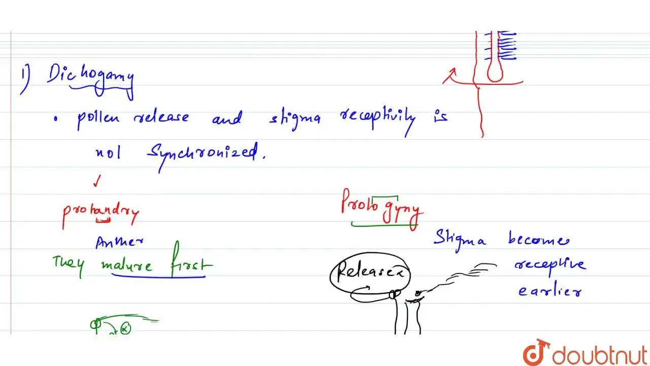 List three strategies that a bisexual chasmogamous flower can evolve t