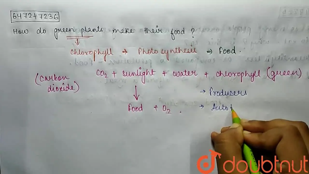 How do green plants make their food?