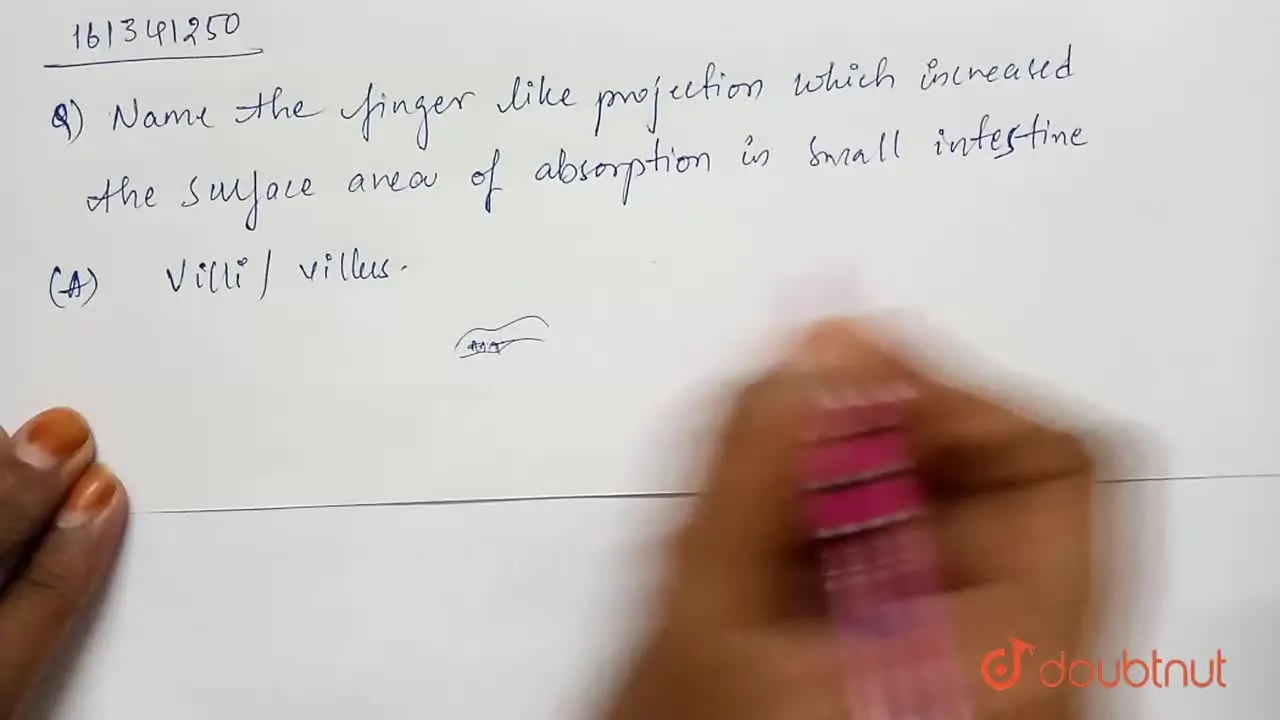 [Telugu Solution] Name the finger like projection which increase the s