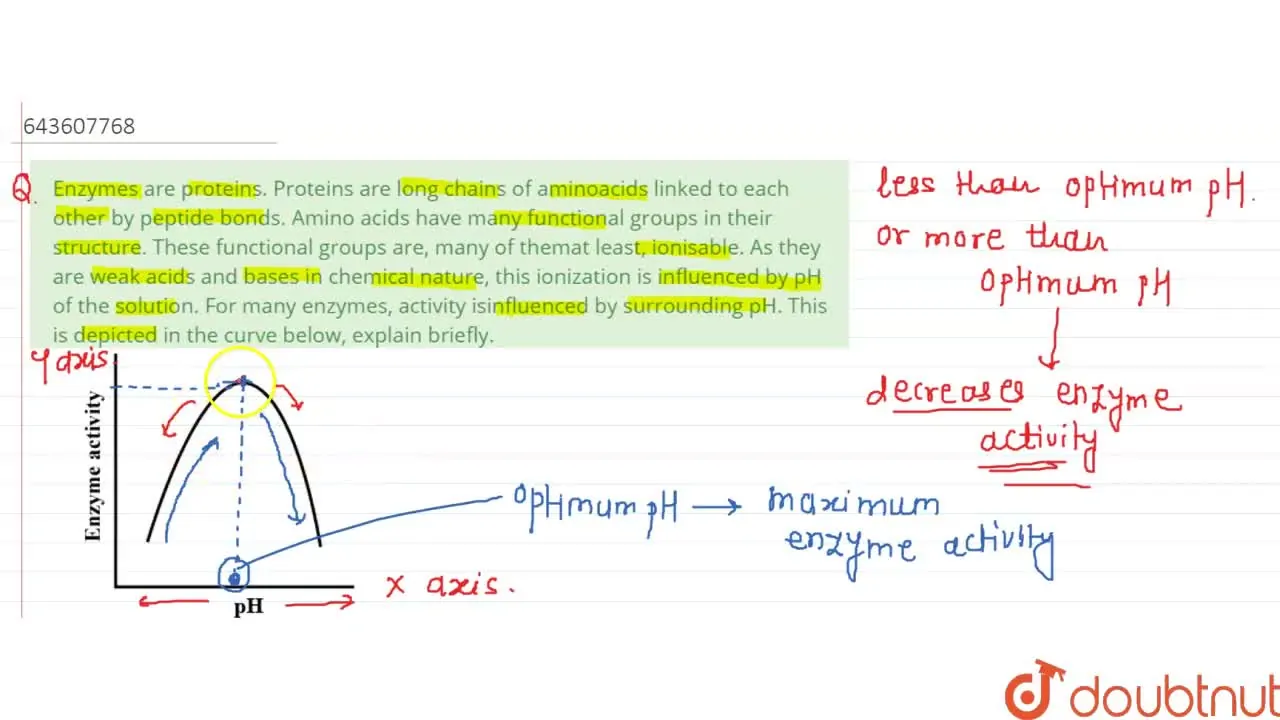 [Marathi Solution] Enzymes are proteins. Proteins are long chains of a