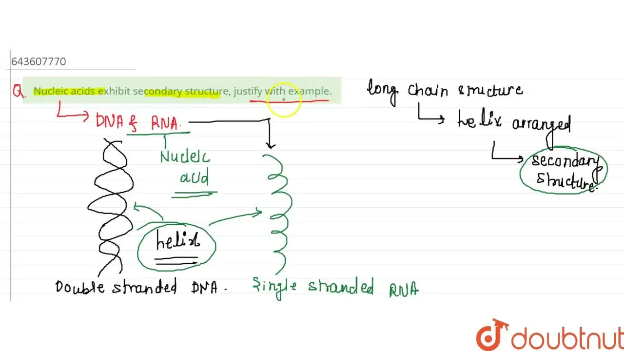 [Marathi Solution] Nucleic acids exhibit secondary structure, justify
