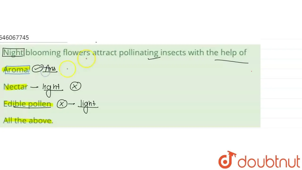Night blooming flowers attract pollinating insects with the help of
