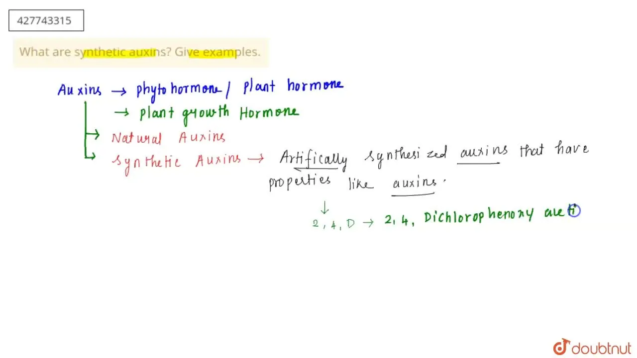 [Tamil Solution] What are synthetic auxins? Give examples.