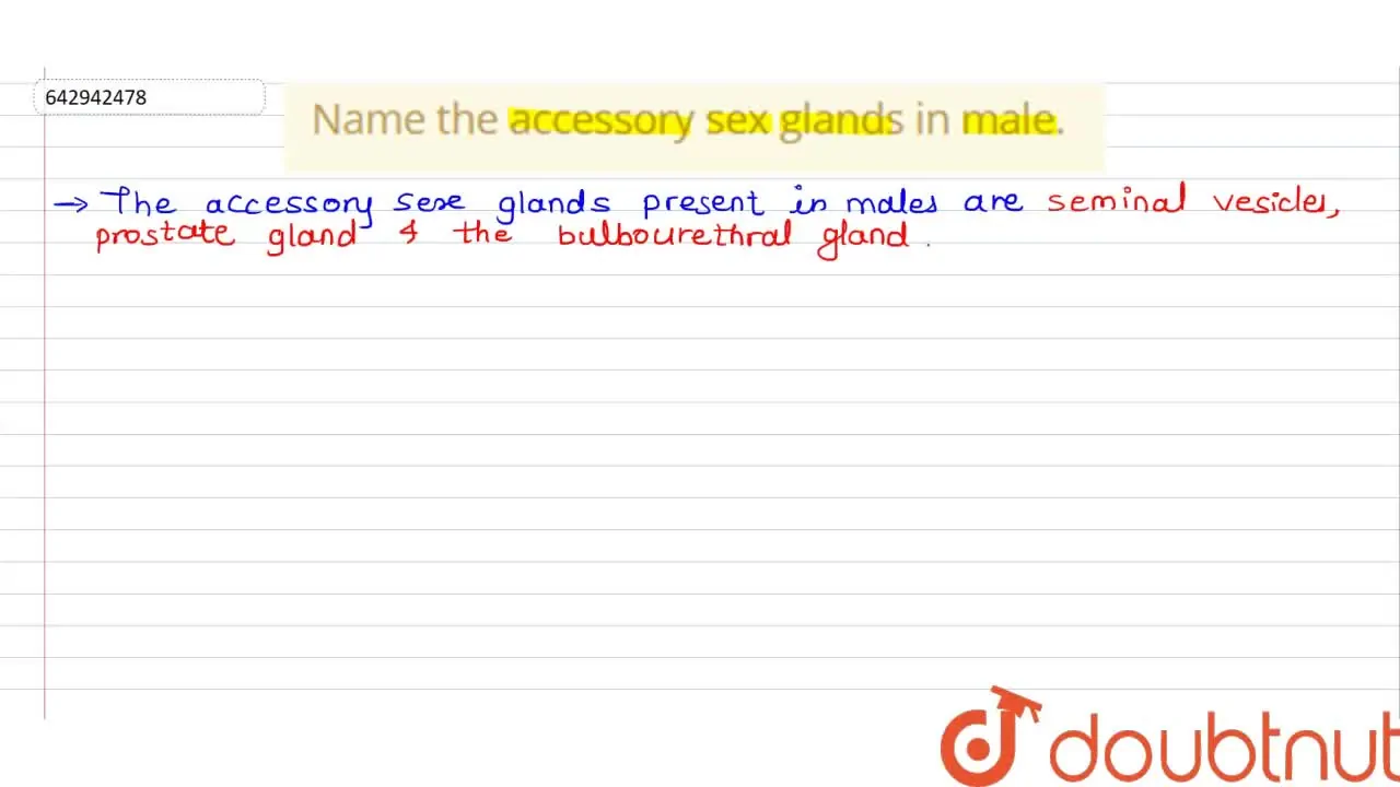 Marathi Solution] Name the accessory sex glands in male.