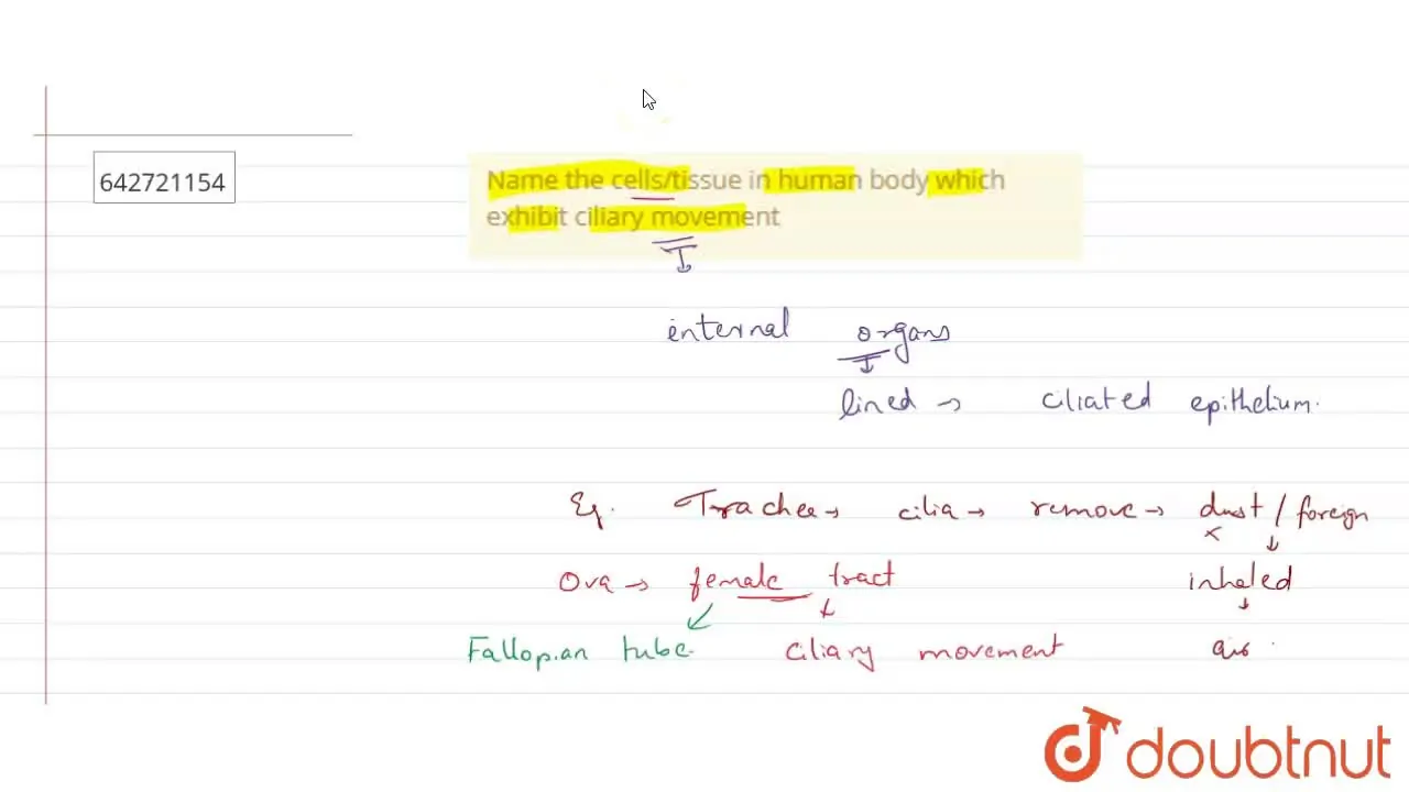 [gujrati Solution] Name The Cells Tissue In Human Body Which Exhibit