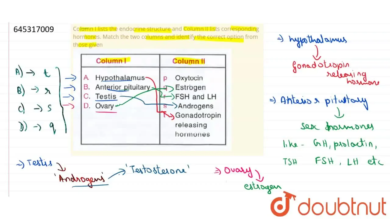 [Kannada Solution] Column I lists the endocrine structure and Column I
