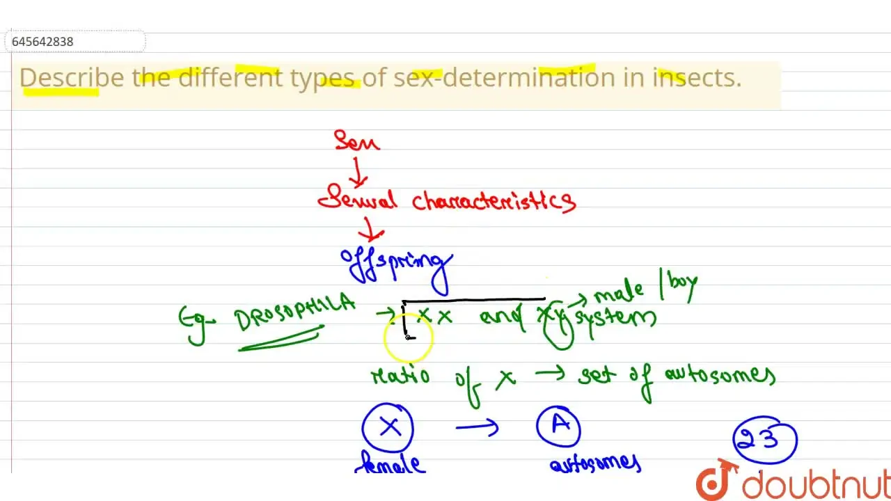 Odia Solution] Describe the different types of sex-determination in i