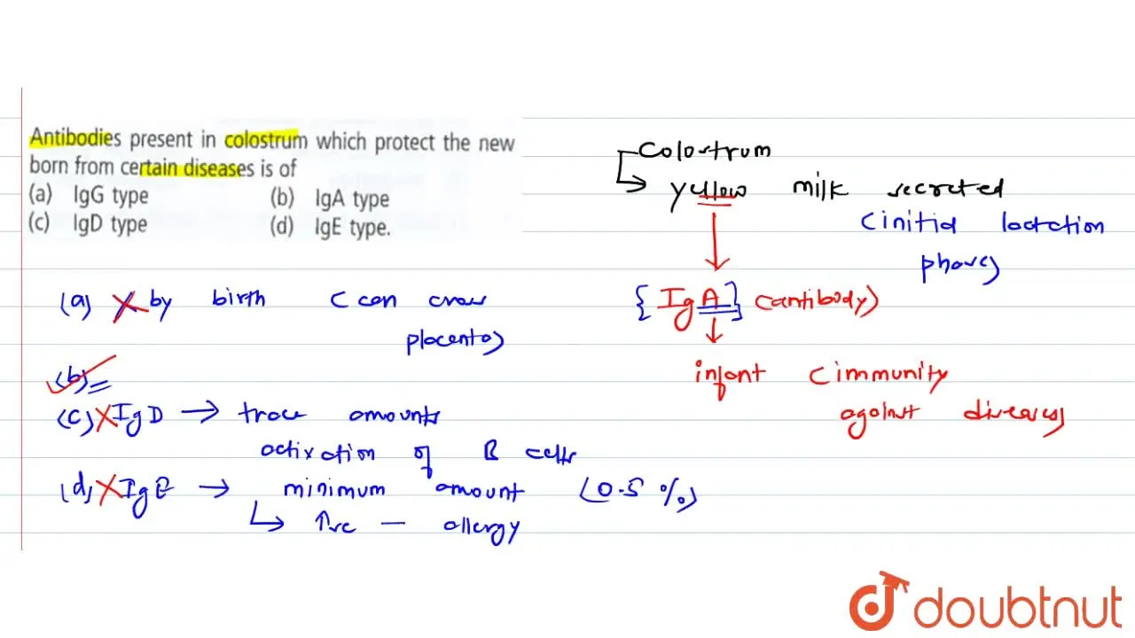 Antibodies present in colostrum which protect the new born from certai