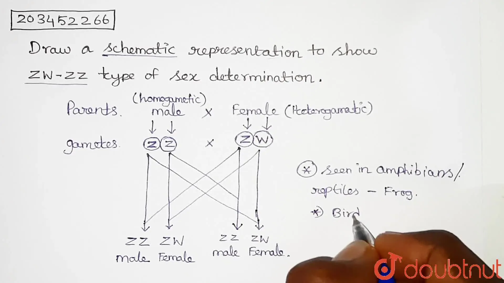 [Tamil Solution] Draw a schematic representation to show ZWZZ type of
