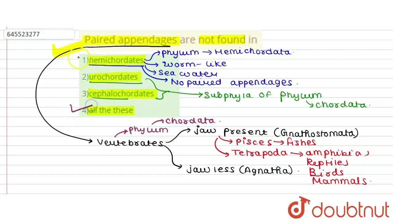 [Bengali Solution] Paired appendages are not found in