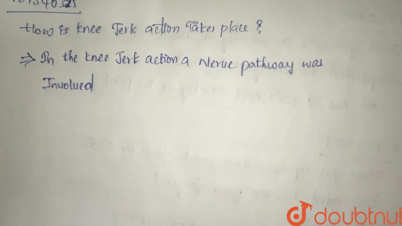 [Telugu Solution] How is the knee jerk action takes place