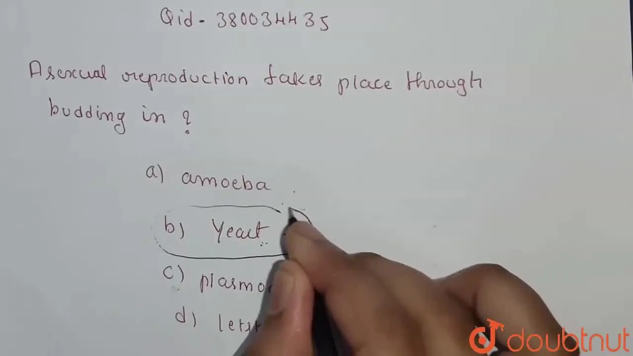 [kannada Solution] Asexual Reproduction Takes Place Through Budding In