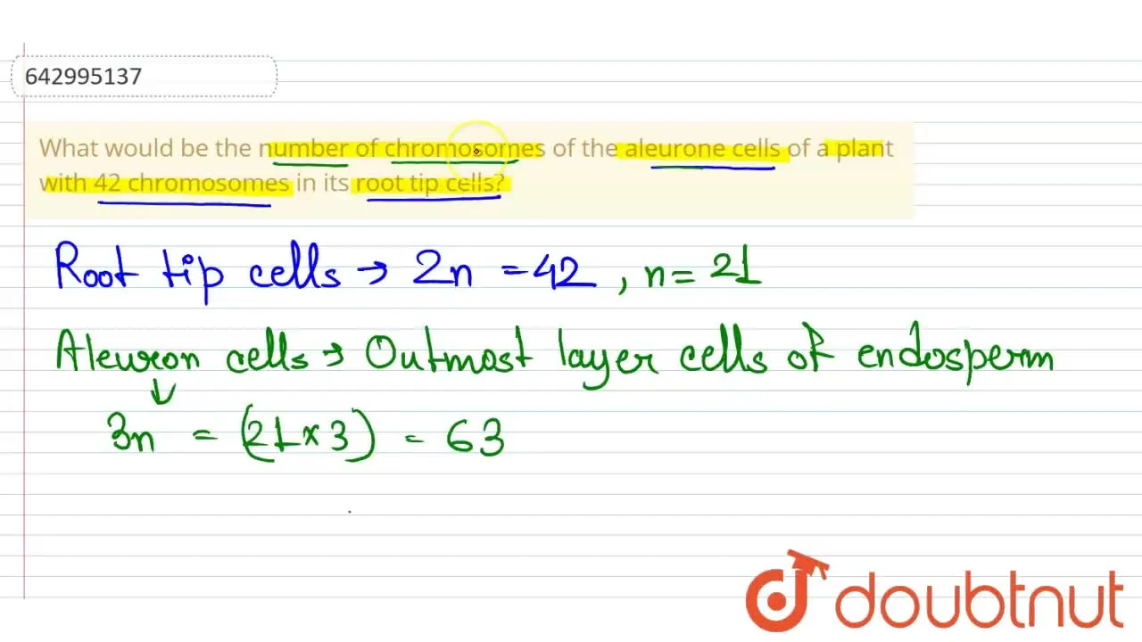 What would be the number of chromosomes of the aleurone cells of a pl